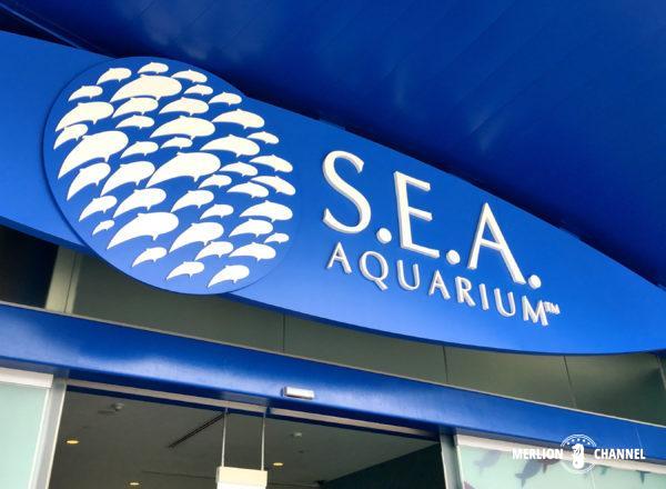 S.E.A Aquarium(シー・アクアリウム)の入口
