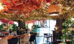 「カフェ・クリームズ（Cafe Kreams）」店内