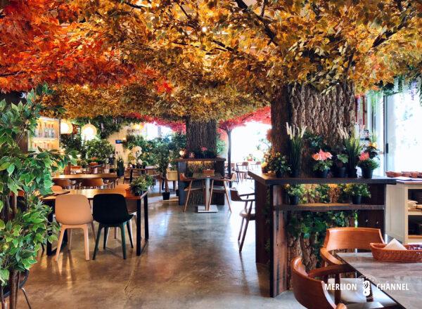 Cafe Kreams Interior