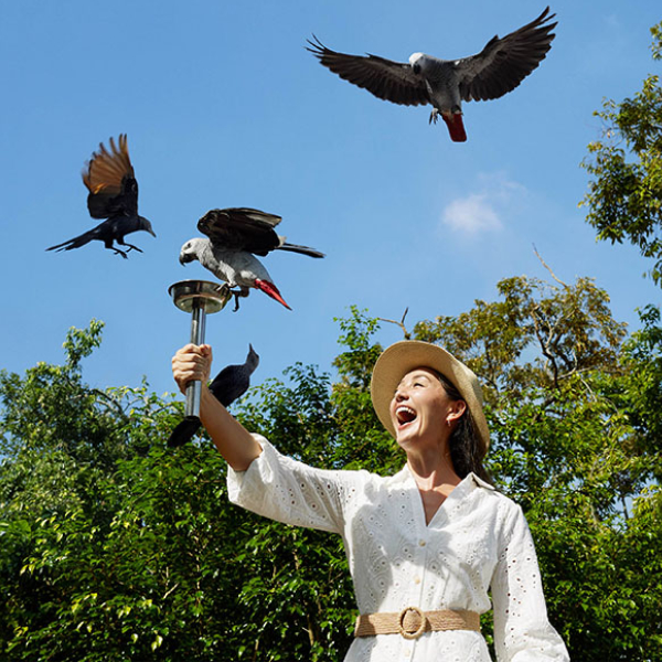 バードパラダイス 〈入園チケット〉｜マンダイ野生動物保護区（シンガポール）