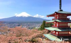 日本から海外へのお土産・外国人が喜ぶ日本のお土産