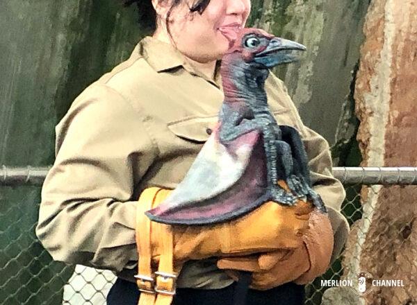 ガーデンズ・バイ・ザ・ベイの「クラウド・フォレスト（Cloud Forest）」でジュラシック・ワールド（Jurassic World）体験ー恐竜とのミートアップや写真タイム