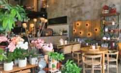 「ノッツ・カフェ&リビング(Knots Cafe & Living)」緑溢れる店内