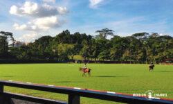 「ポロクラブ（Polo Club）」フィールド