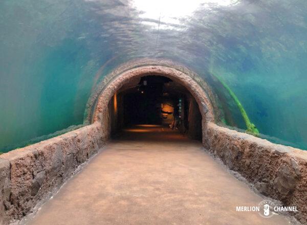 「リバーワンダー（River Wonders）」の水中トンネル
