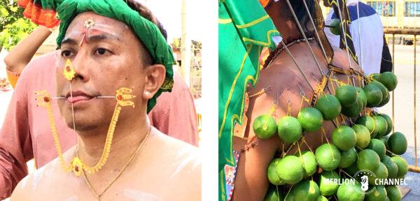 Thaipusam: Pierced tongue and limes on the back