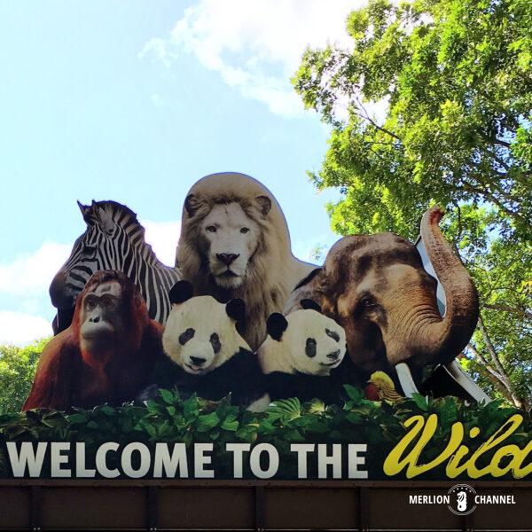 シンガポール動物園・リバーワンダー、ナイトサファリ、バードパラダイスの4つのパークが集合する「マンダイ野生動物保護区」