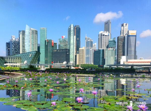 「ガーデン・シティ」と謳われるシンガポール