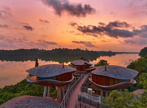 マンダイ・レインフォレスト・リゾート by バンヤンツリー(Mandai Rainforest Resort By Banyan Tree)