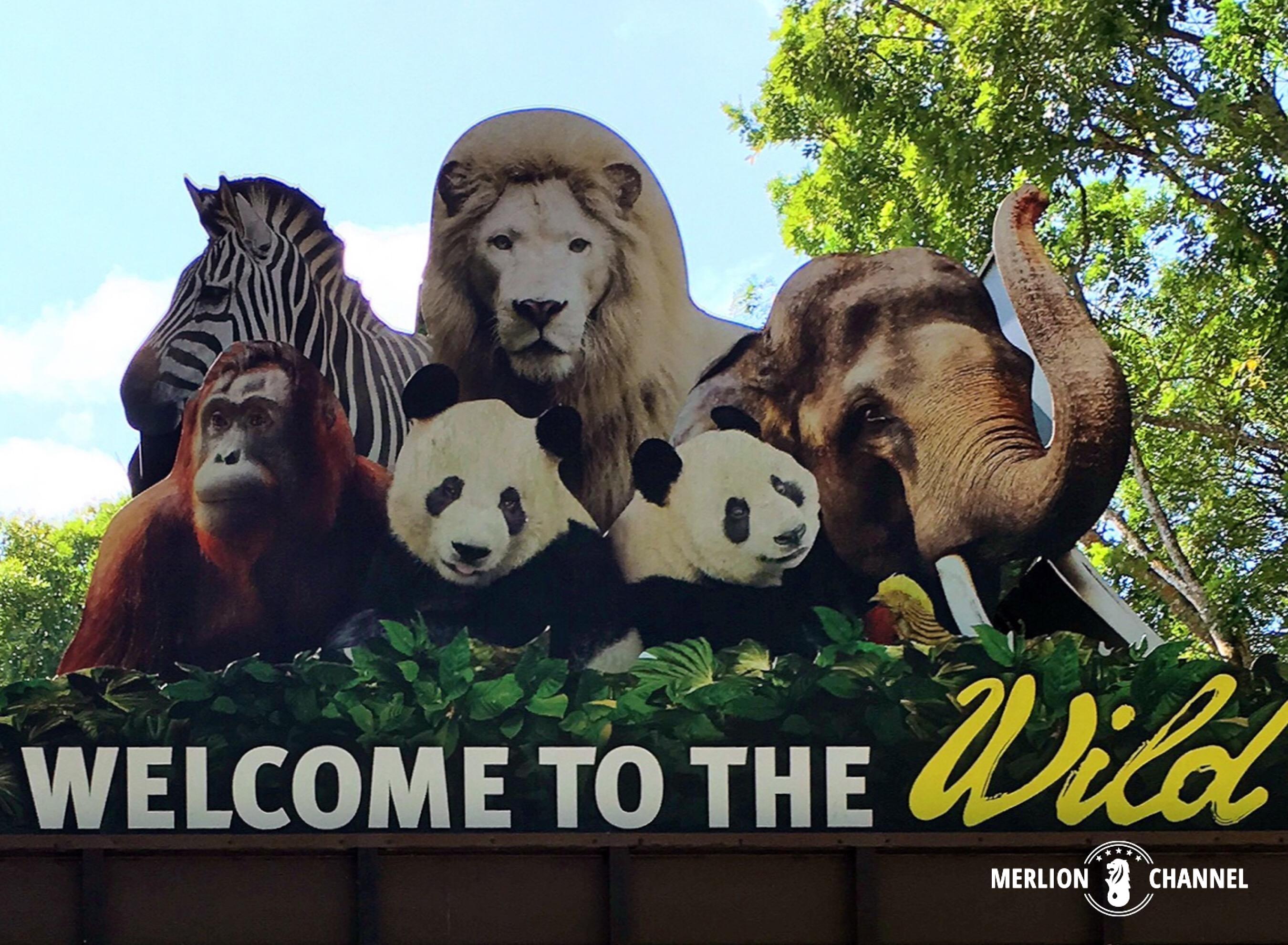 シンガポール「4大動物園」どれがおすすめ？基本情報・行き方 